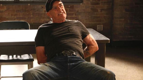 Zákon a pořádek: Útvar pro zvláštní oběti XII (7)