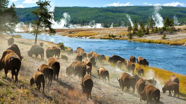 Kouzla přírody (3)