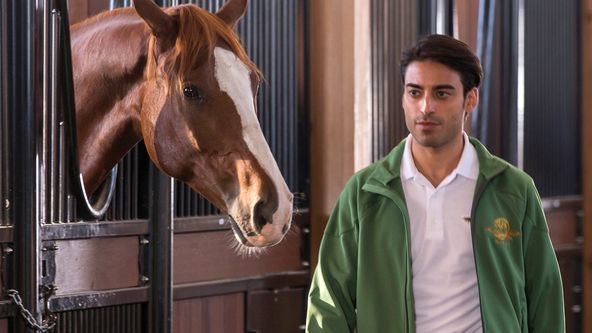 Ranč Heartland VII (9)