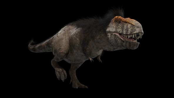 Tyrannosaurus rex: Nová odhalení