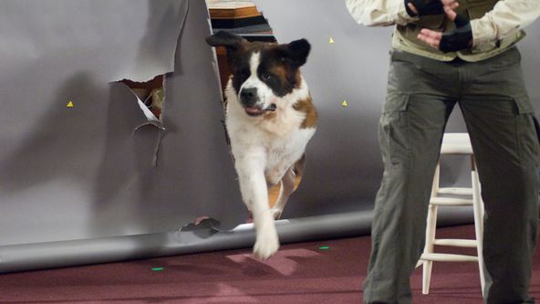 Beethoven: Velký trhák