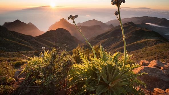 Kanárské ostrovy: Svět ohnivých hor