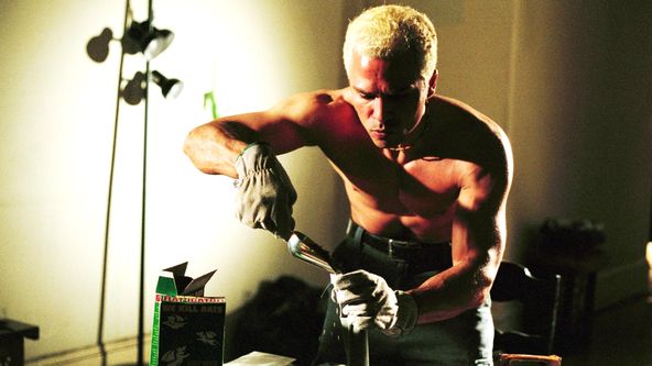 Zákon a pořádek: Zločinné úmysly II (8)