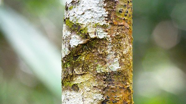 Planeta Země II (3/6)