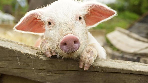 Kouzelná chůva a Velký třesk