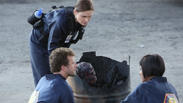 Sběratelé kostí VIII (2)