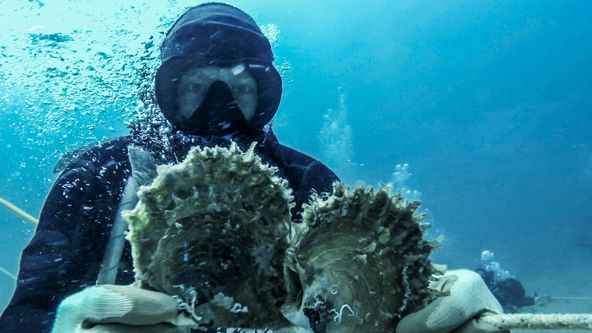 Divoká příroda bez konce (2/3)