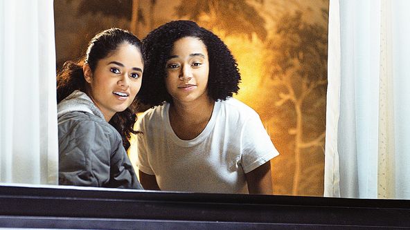 Všechno úplně všechno