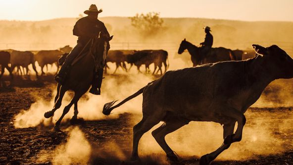 Přírodní divy Země II (3)