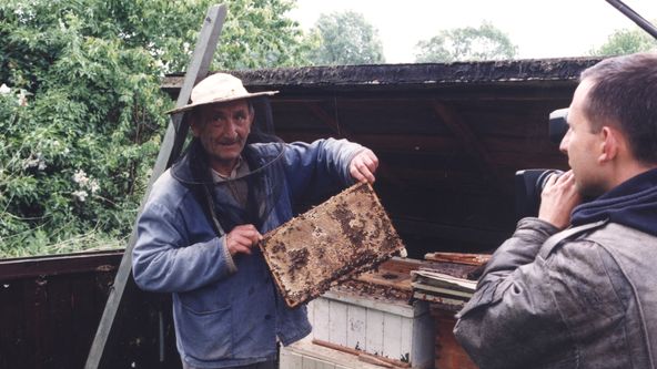 Jak se žije včelařům podle Jána Sebechlebského