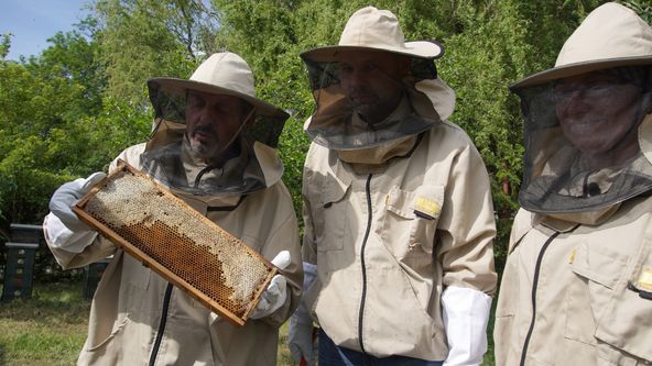 Trvalé bydliště venkov (1/16)