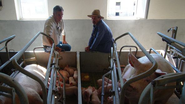 Trvalé bydliště venkov (4/16)