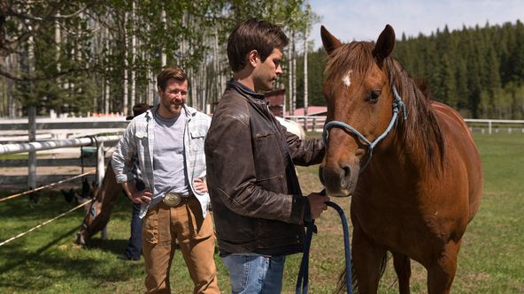 Ranč Heartland VII (3)