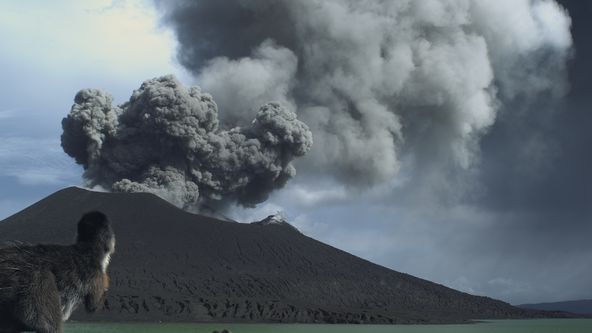 Nová prehistorie (2)