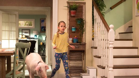 Americká manželka II (12)