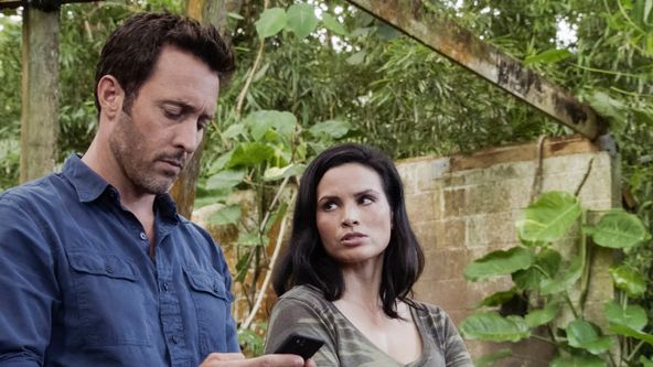 Hawaii 5-0 X (4)