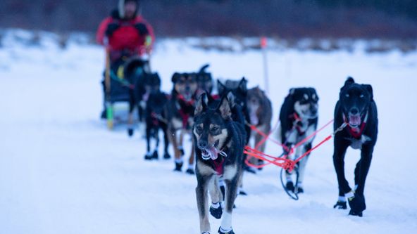 Život v sevření mrazu VII (16)