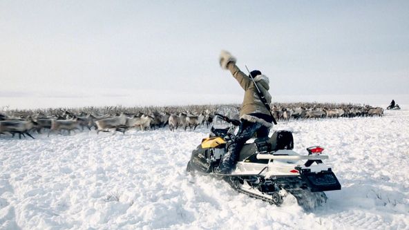 Volání skutečného severu (5)