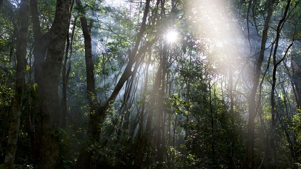 Dobrodružství do neznáma - speciály (3/4)