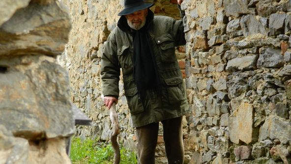 Záhady Toma Wizarda