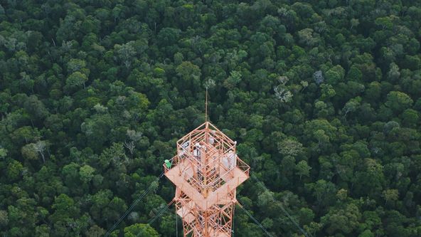 Řeky nad korunami stromů