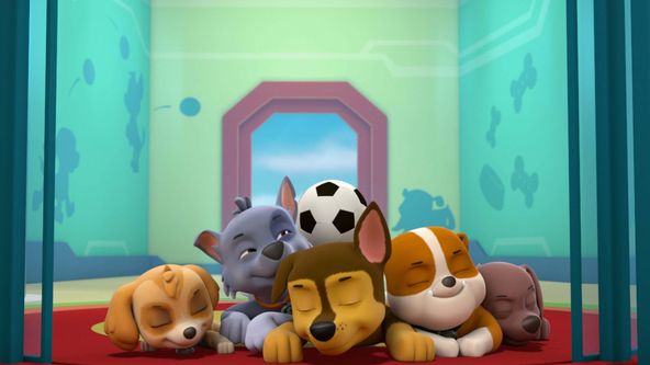 Tlapková patrola VI