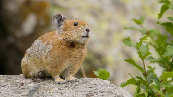 Poslední přírodní ráje (6/6)