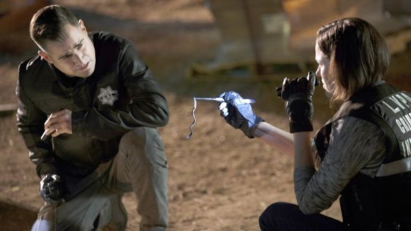 Kriminálka Las Vegas XV (14)