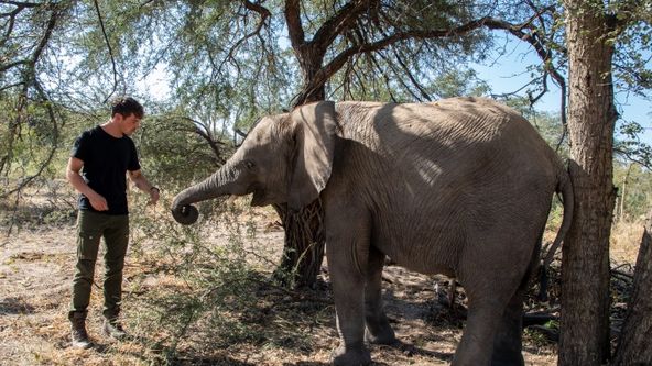 Kolosální zvířata (1)
