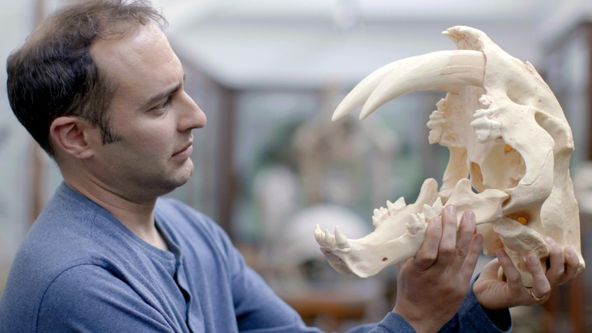 Odhalená ztracená zvířata (2)