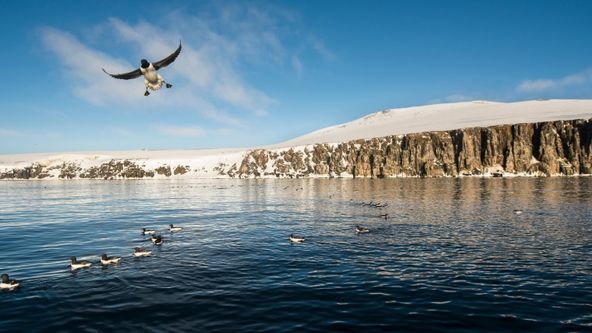 Roční období na planetě Zemi (4)