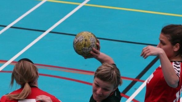 MS v házené mužů 2025, Házená