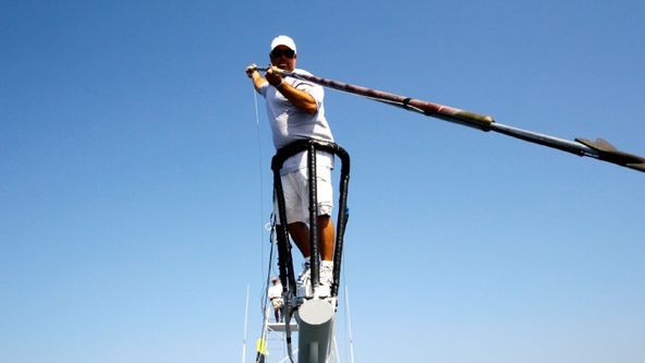 Prokletí tuňáci XIII (2)