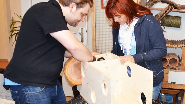 hundkatzemaus - Das Haustiermagazin