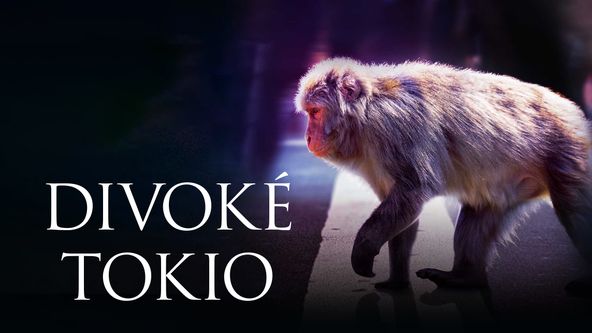 Divoké Tokio