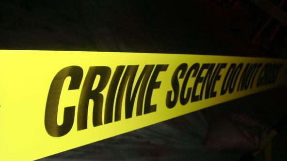 Medical Detectives - Geheimnisse der Gerichtsmedizin