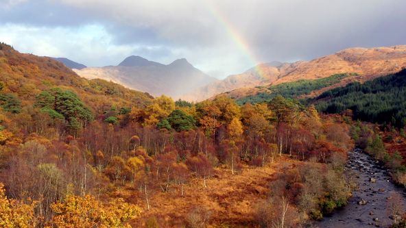 Skotsko: Rok v divočině (3)