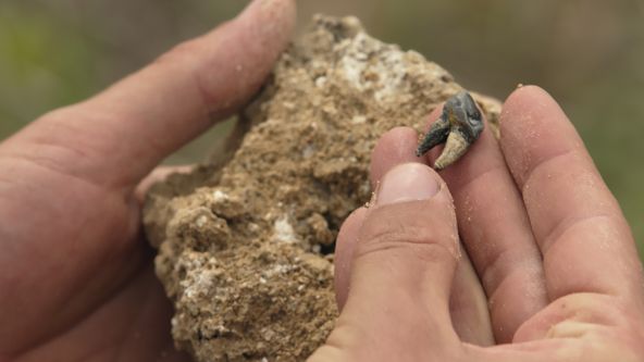 Je Evropa kolébkou lidstva?