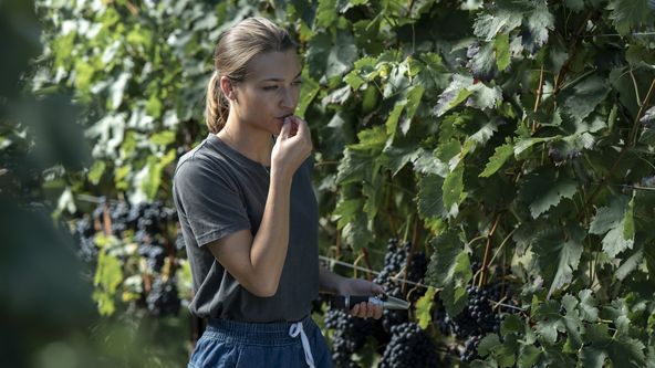 Ve víně je vražda (1/4)