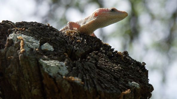 Nádherná Amerika - výběr (1)