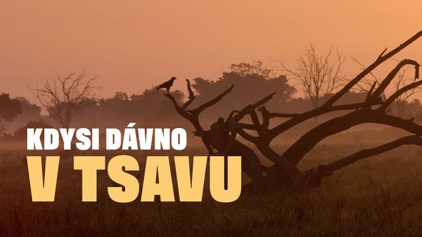 Kdysi dávno v Tsavu (1/2)