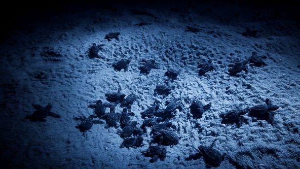 Život v extrémních podmínkách (1/3)