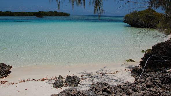 Aldabra: Byl jednou jeden ostrov