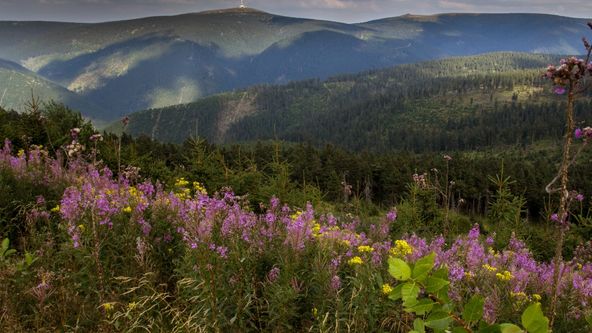 Klenoty naší krajiny