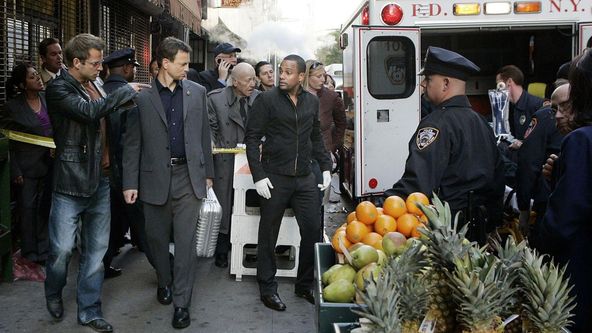 Kriminálka New York IV (11)