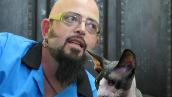 Má pekelná kočka VIII (3)