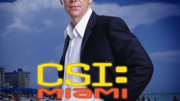Kriminálka Miami VI (3/21)