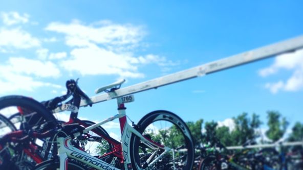 World Triathlon Championships Series