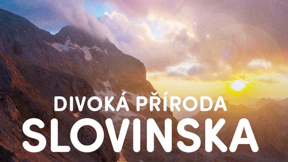 Divoká příroda Slovinska