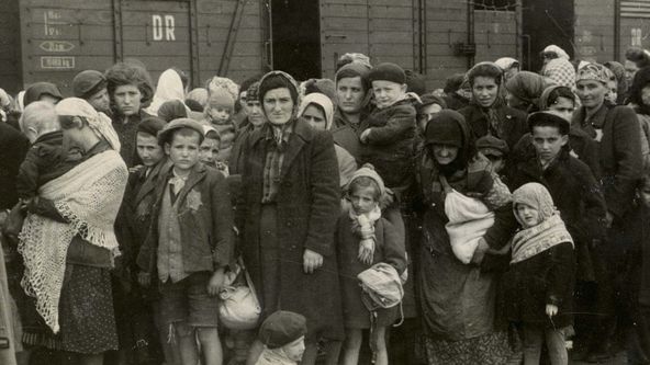 Jeden den v Osvětimi